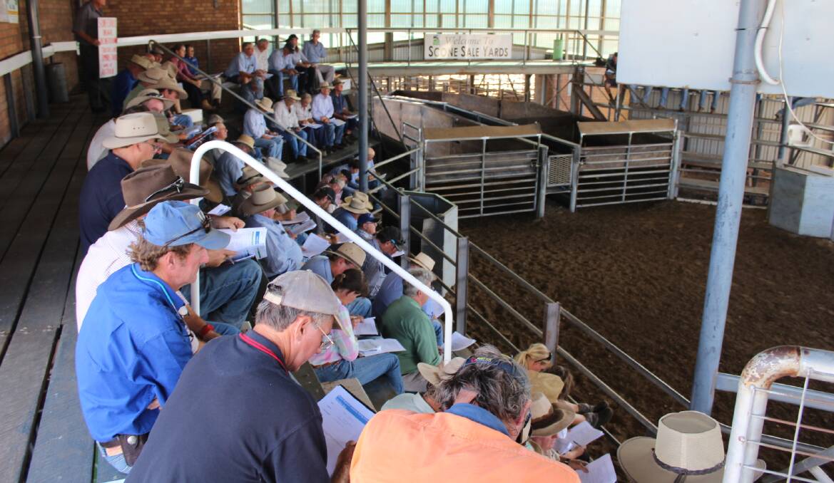 HEALTH AND SAFETY: Regular users of the Scone Regional Livestock Selling Centre and Truck Wash facility attend the first Workplace Health and Safety site induction on April 5 at the Saleyards. Further inductions are being held around the Shire.