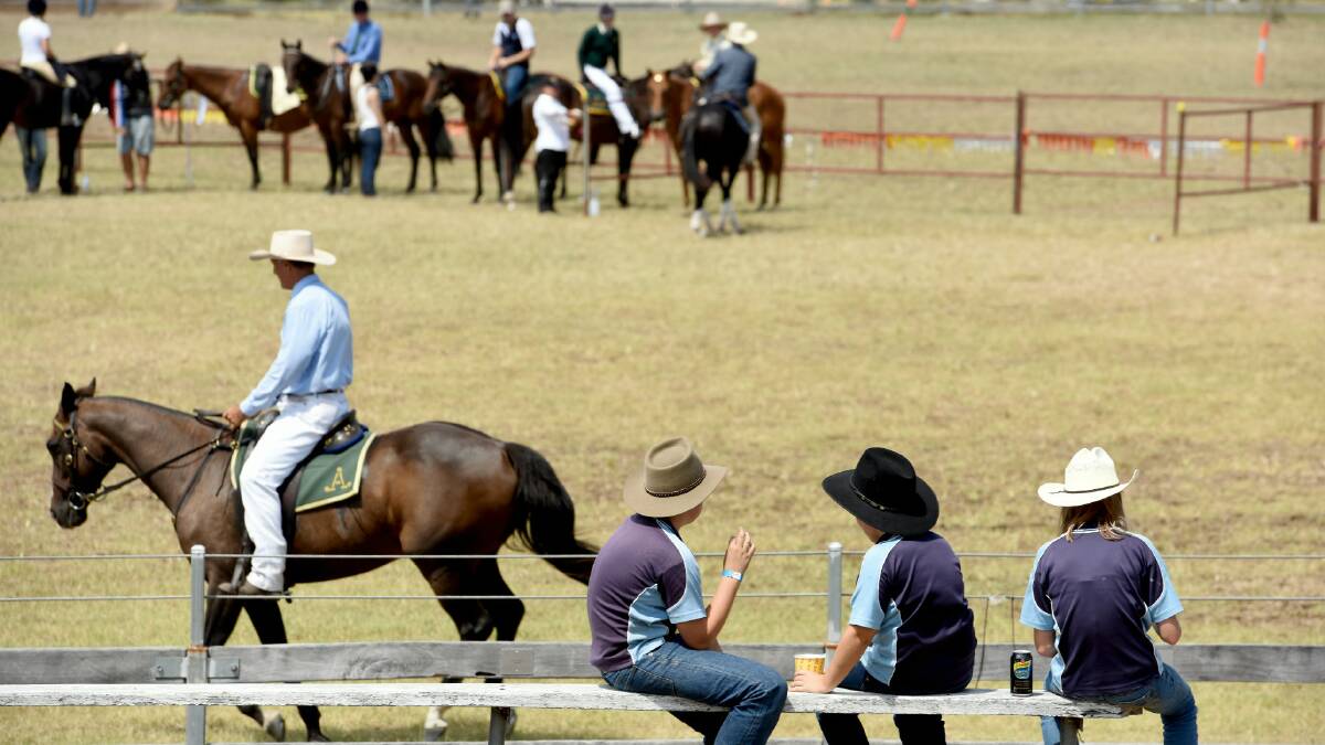 GIDDY UP: Action from the show ring.