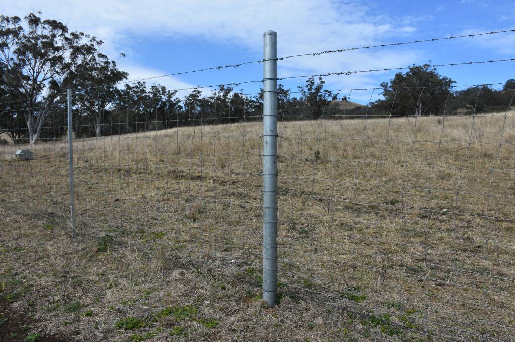 The Clipex exclusion fence built on 'Inverary' Kar Springs near Scone