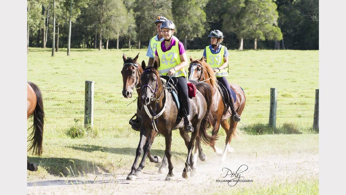 Participants in the William Valley endurance ride held recently at Stroud