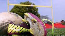 Dungog Junior Rugby League round-up