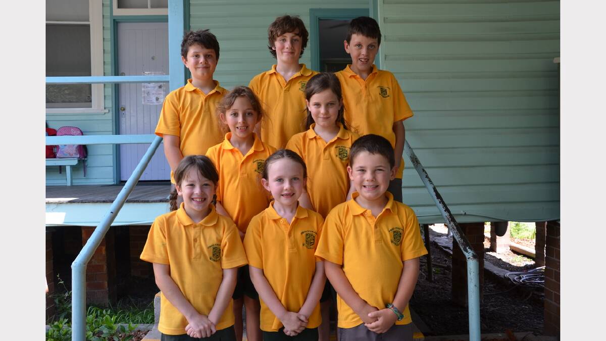 Citizenship award winners were, back, Hamish Allan, Pete Raine, Jacob Isaac; centre, Olivia Hutchins, Meghan Filed; front, Catherine Webster, Felicity Holstein and Oscar Moffat.