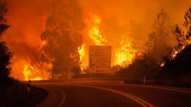 Bushfires kill dozens in Portugal