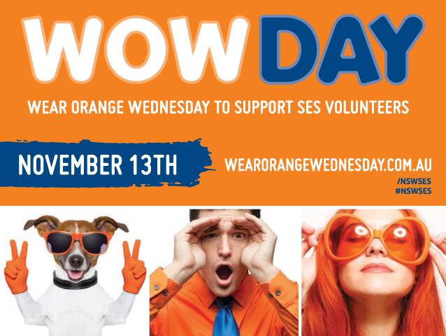 Support the SES and wear orange next Wednesday