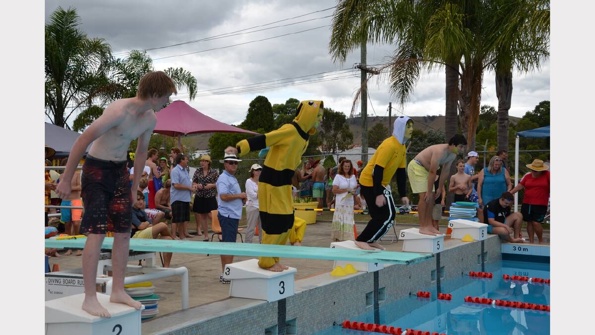Swimming action at Dungog High School's swimming carnival on Thursday