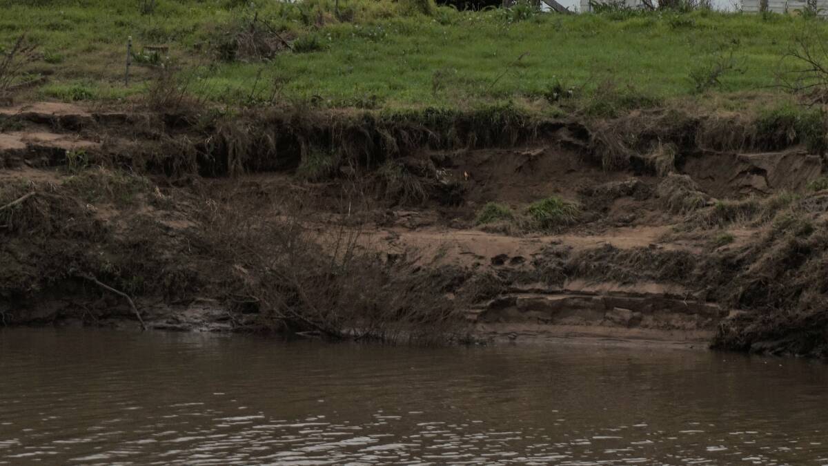 Erosion along the Hunter River at Morpeth. Picture: Supplied.