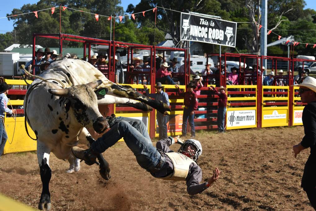 Rider at the Dungog Rodeo on the Easter long weekend. Picture by Angus Michie