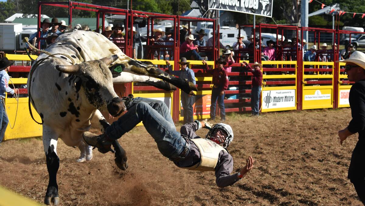All the thrills and spills of the Dungog Rodeo.