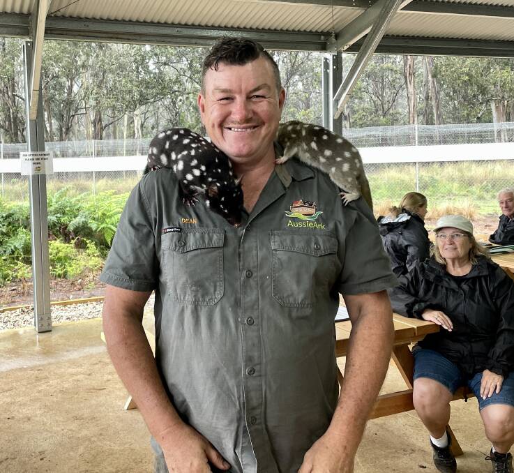 Aussie Ark's operations manager Dean Reid with two of his Quoll's. Picture by Angus Michie.