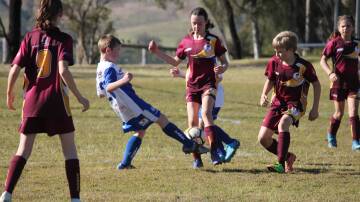 SOCCER: The Dungog Miniroos have taken to Barnes Oval for the first time this season. Picture supplied