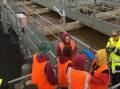 STEM: Girls in Dungog High School went to Dungog Waste Water and Water Treatment plants as a part of the HunterWISE Outreach program. Picture: Supplied