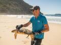 Hero: Sea Life Aquarium worker Ben Wynand released the turtles at Zenith Beach 