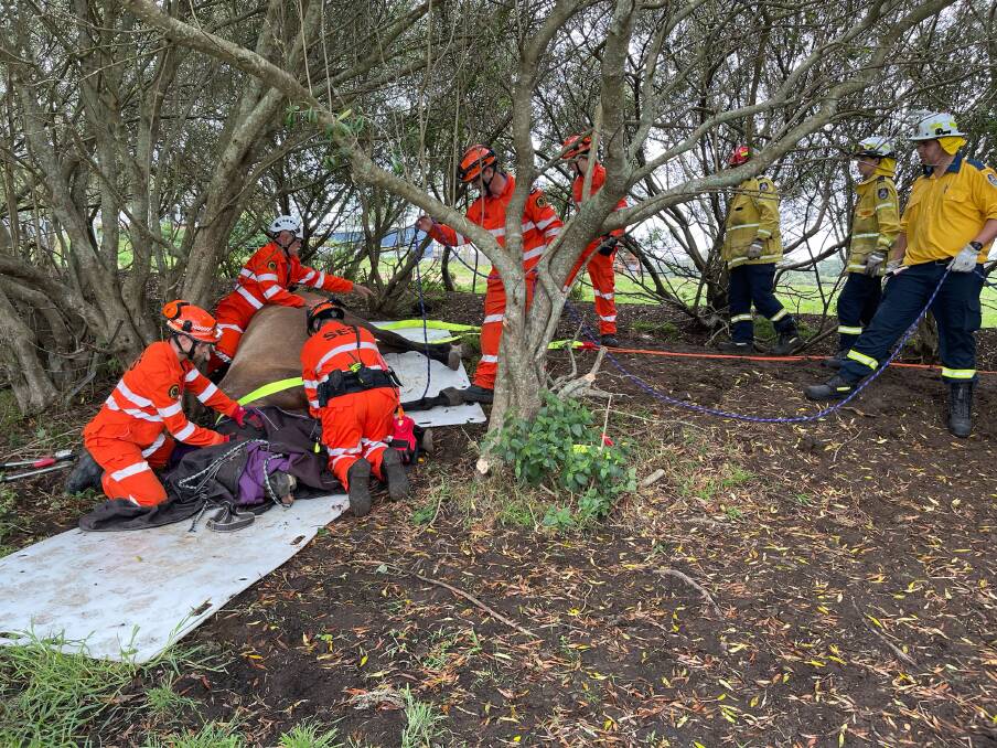 HEROES: NSW SES Port Stephens unit volunteers left, and NSW Rural Fire Service volunteers, right, help Franklin after a fall at Hinton. Picture: Belinda-Jane Davis