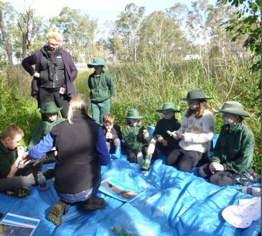 Martins Creek Public School students plan to monitor the health of their local creek monthly as part of their science studies.