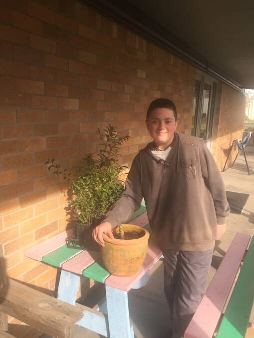 GREENING: Ryan Broadbent at Dungog High School about to help plant out a Frangipani tree and some other tube stock ready for the school yard.