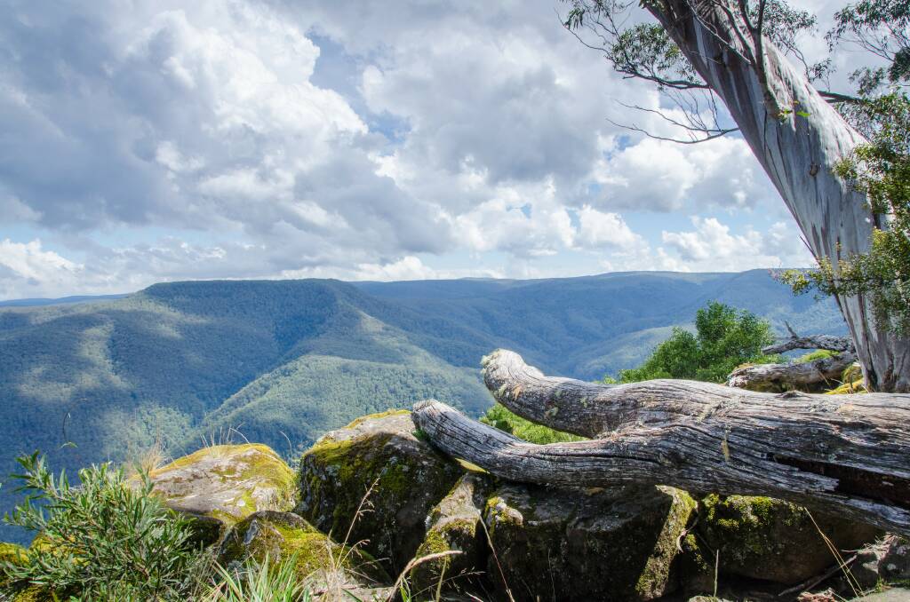 TOURS: Your chance to get free guided tours on some walking tracks at Barrington Tops. Photograph: NSW National Parks and Wildlife