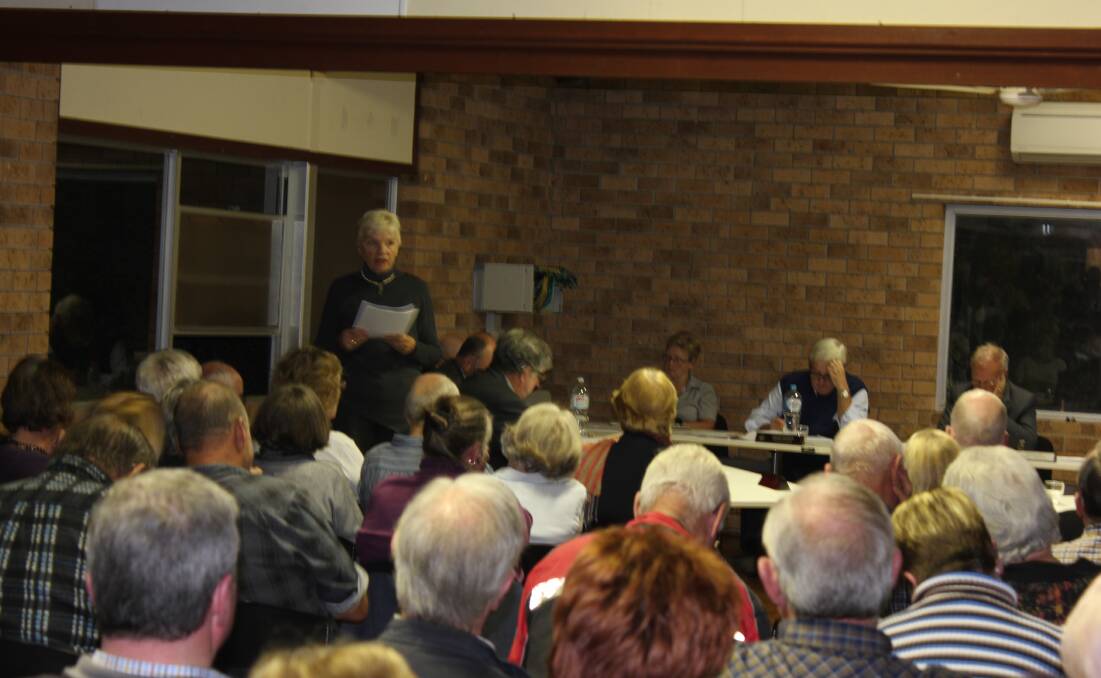 Cr Nancy Knudsen speaking at the council meeting.