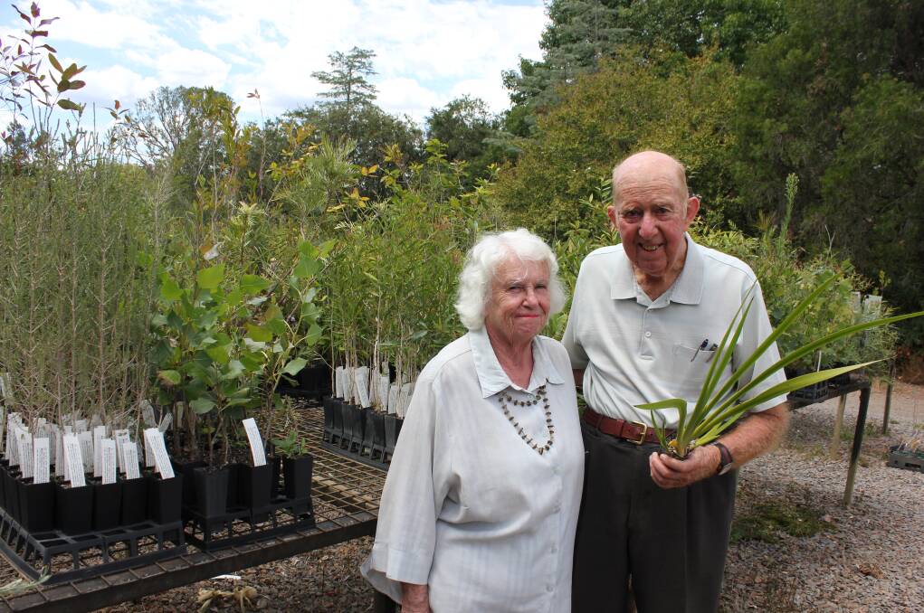 Blooming success: Virginia and Noel Jupp at their Riverdene Nursery.