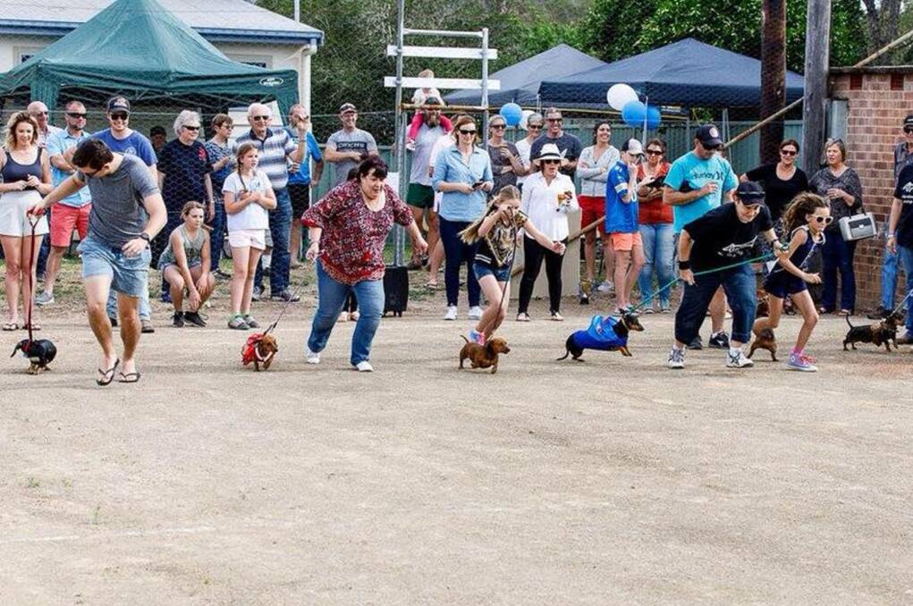 THEY'RE OFF: The 2018 race was a lot of fun during Oktoberfest - photo from the Wallarobba Hall Facebook page.