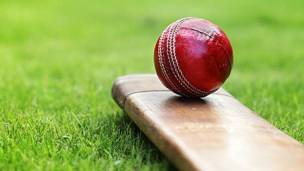 Bunnies lead Dungog cricket competition