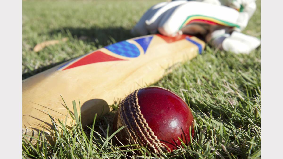 Karuah Red and White had wins in Dungog cricket on Saturday.