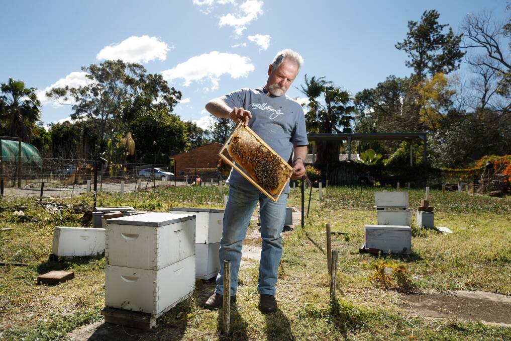 Un-bee-lievable: David Vial, of Williamtown, photographed with his bees before the crisis hit. 'We're just hoping they can contain it within the 50-kilometre zone', he sqaid. Picture: Max Mason-Hubers 