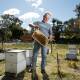 Un-bee-lievable: David Vial, of Williamtown, photographed with his bees before the crisis hit. 'We're just hoping they can contain it within the 50-kilometre zone', he sqaid. Picture: Max Mason-Hubers 