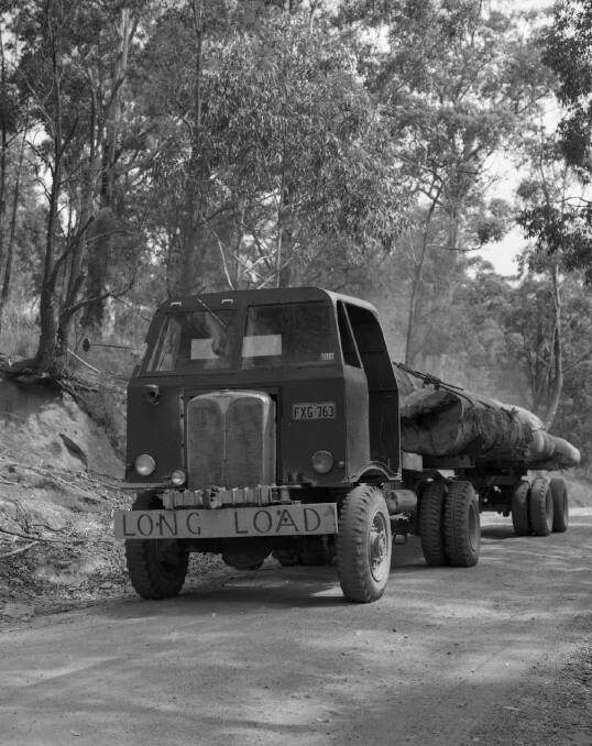 TRUCKING OUT: Felled native timber, including cedar, was transported from Barrington Tops via road. Picture: Douglass Baglin