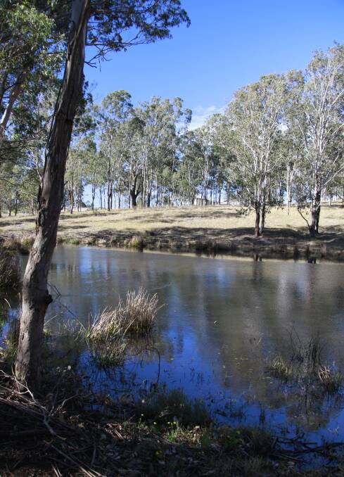 SUSTAIN AND PRESERVE: One of the Dungog Common dams that was inspected to see what work is required to help improve Williams River water quality. 