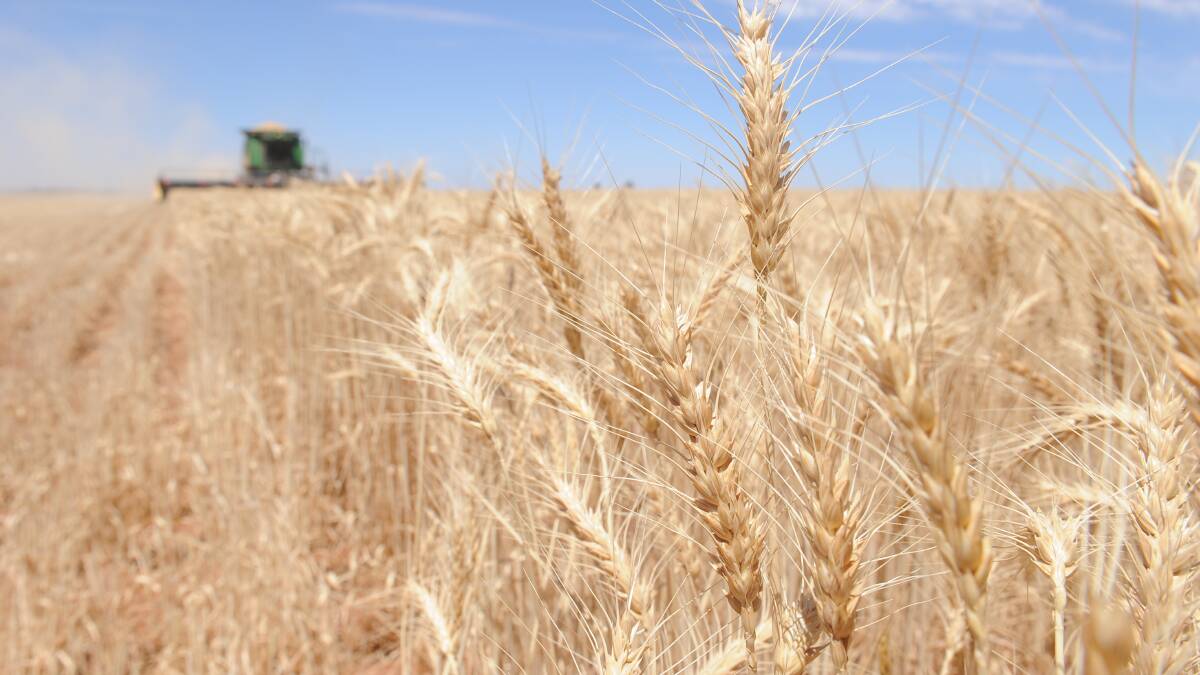 ASSISTANCE: More than 4,500 NSW public servants are now eligible for five days' special leave to assist the state's farmers ahead of a record harvest season.