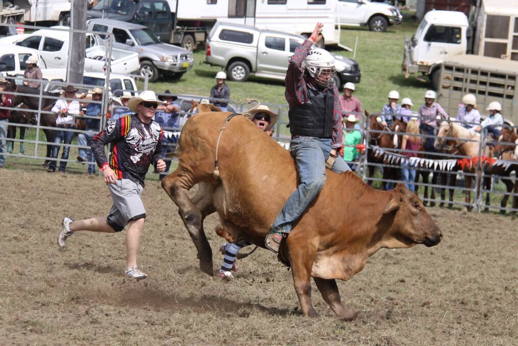 NO BULL: Some of the best riders in the country will  be on display at Dungog Rodeo and the East Coast Junior Championships at Dungog Showground on March 26 and 27.