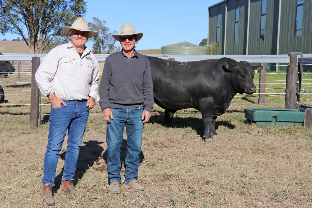 Second top priced bull lot 25 Sugarloaf Timeless Q98 with Robert MacKenzie and Jim Tickle.