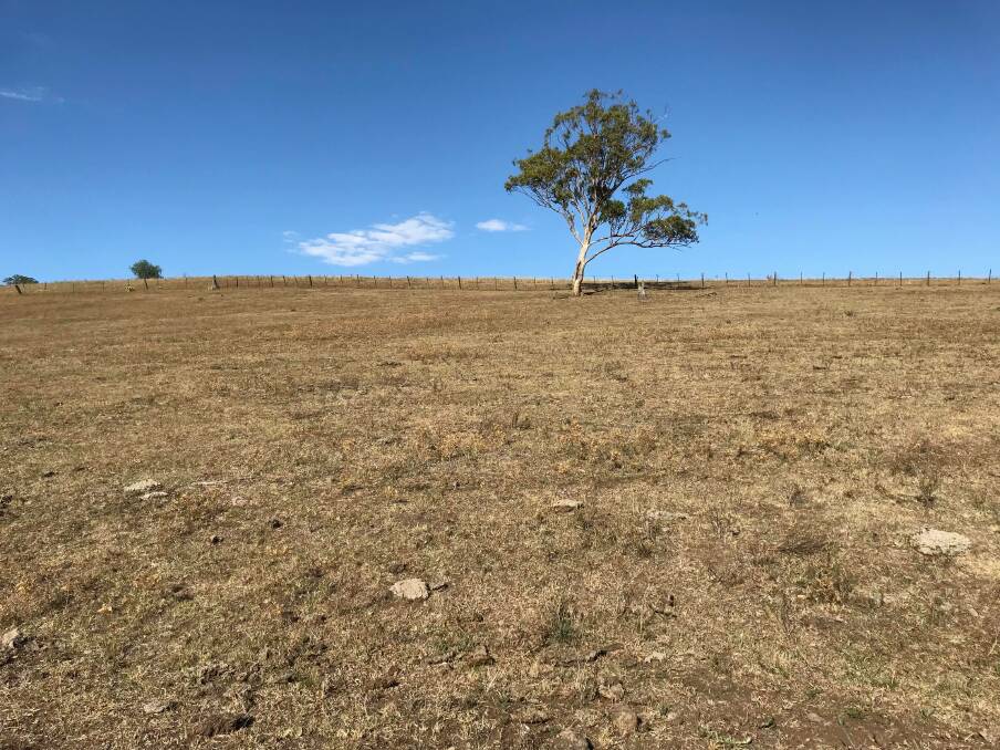 BLEAK: Landholders are faced with continuing tough times as a prolonged dry spell takes its toll. For some there has been no decent rainfall since June 2017.