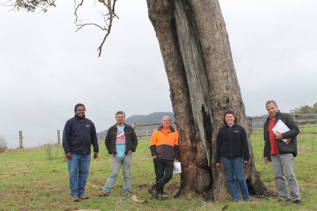 DISCOVERY: Toby Whaleboat (Hunter Local Land Services), Steve Brereton (Mindaribba Local Aboriginal Land Council), David Williams (property owner), Nicci Cooper (Hunter Local Land Services) and Brad Welsh (Office of Environment and Heritage) pictured in front of an Aboriginal canoe scar tree that was once an abundant feature on the Paterson River floodplain.