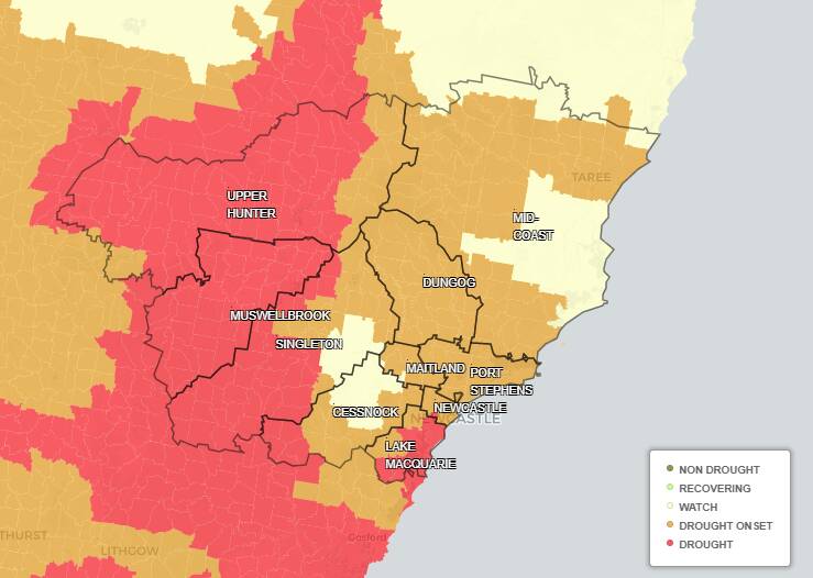 HUNTER DROUGHT: 33 per cent of the region is in drought, 39 per cent is at the onset of drought and 28 per cent is borderline and could slip into drought or recover. Picture: NSW Department of Primary Industries