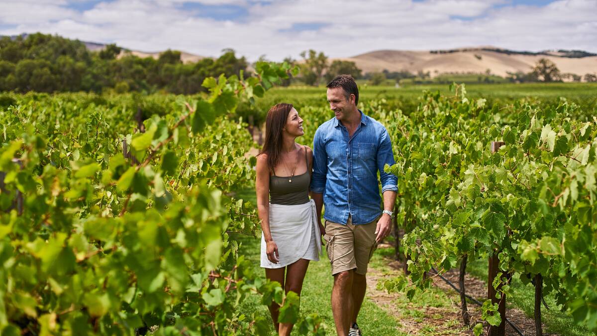 Explore vineyards in the Barossa Valley.