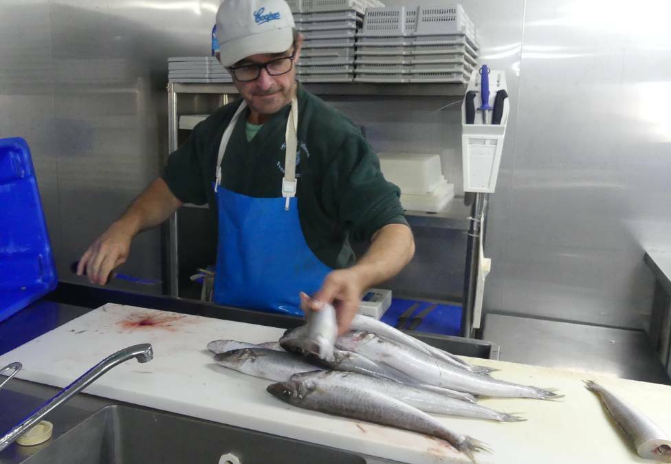 Processing freshly caught King George whiting at KI Fresh Seafoods in Kingscote on Kangaroo Island. Photo: Stan Gorton