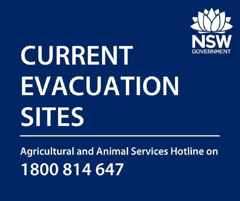 Animal safe places now open across Dungog Shire amid flood warnings