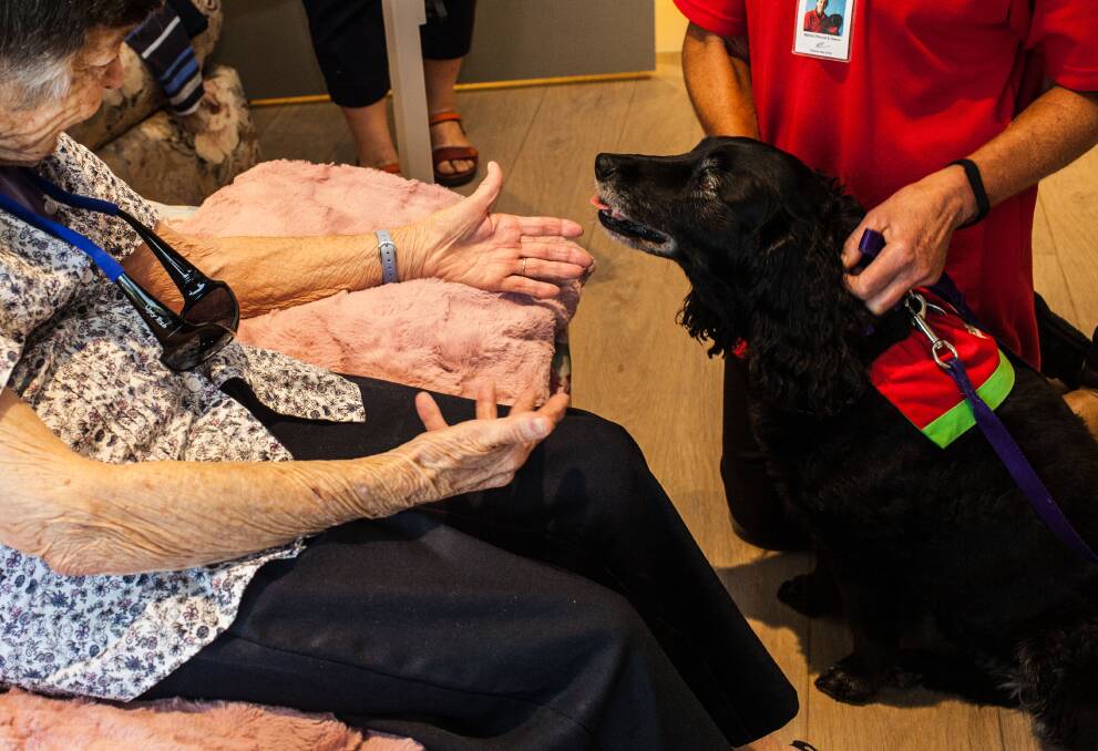 Deena's here: Deena the therapy dog is welcomed with open arms. Photo: Rachel Mounsey