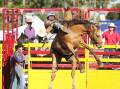 All the thrills and spill at the annual Dungog Rodeo. Saturday, April 16, 2022. Picture Peter Lorimer
