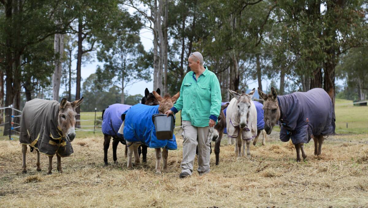 CARING: Sandy Kokas-Magnusson with some of the animals in care at the Good Samaritan Donkey Sanctuary. The not-for-profit charitable sanctuary is calling for volunteers. Pictures: Ellie-Marie Watts