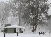 CHILLY: Polblue campground and picnic area in the Barrington Tops following a heavy dumping of snow, 5cm to 10cm, in July 2021. Pictures: Ellie-Marie Watts