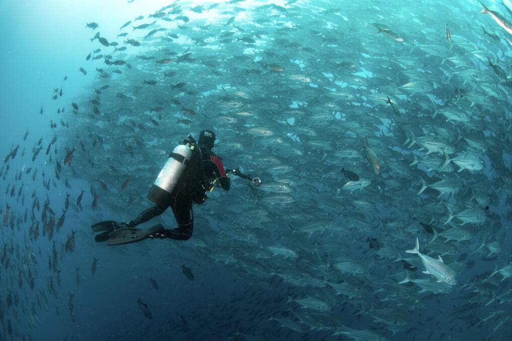 Malcolm Nobbs taking a photo of Trevallies at Darwin Arch in the Galapagos Islands. Picture: Andy Murch