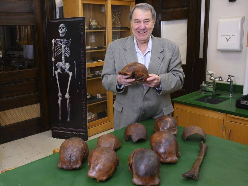 Professor Russell Ciochon holds a cast of a Homo erectus skull at his lab in Iowa City in the US.