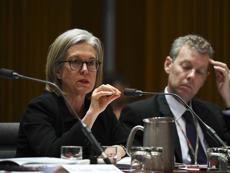 Acting chair Karen Chester says the expenses scandals engulfing ASIC were uncovered internally.