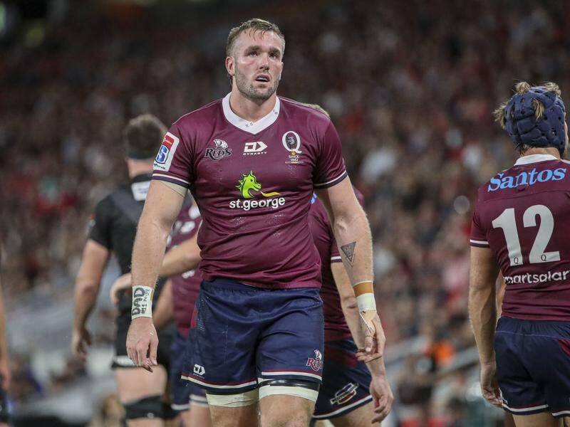 Izack Rodda says he has matured a lot since he walked out on the Queensland Reds last year.