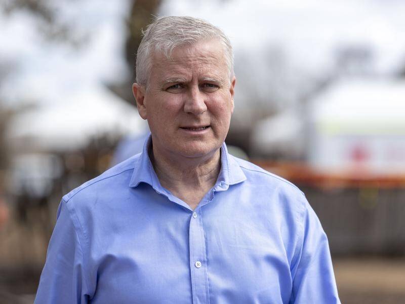 Deputy Prime Minister Michael McCormack says there could be further crackdown on vegan activists.
