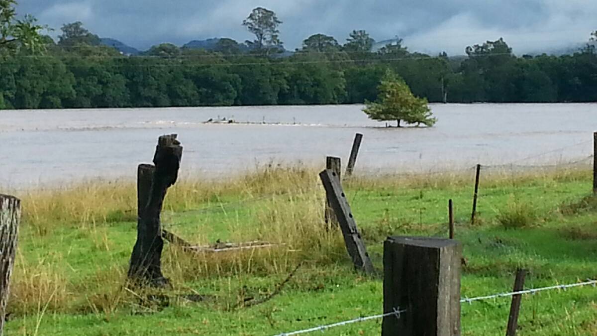 Directly across the Williams River from Dungog. Pic: Janet Hayes