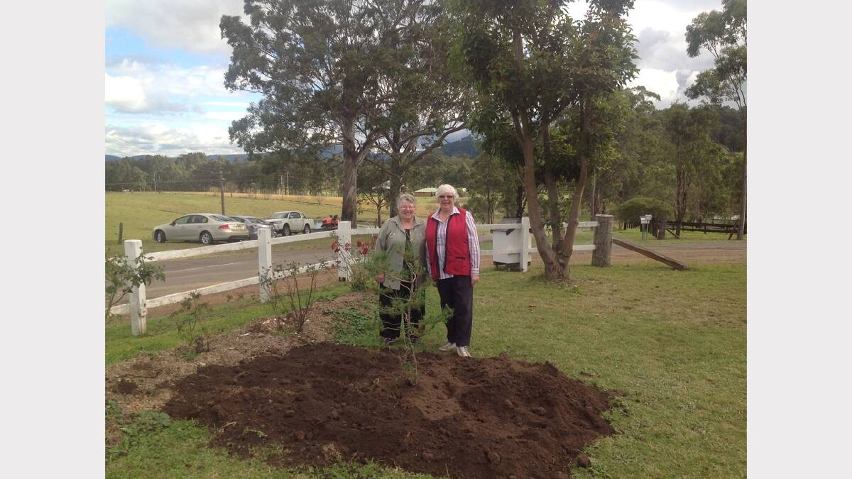 Elaine Eyb and Kathy Neilson with the newly planted Lone Pine tree